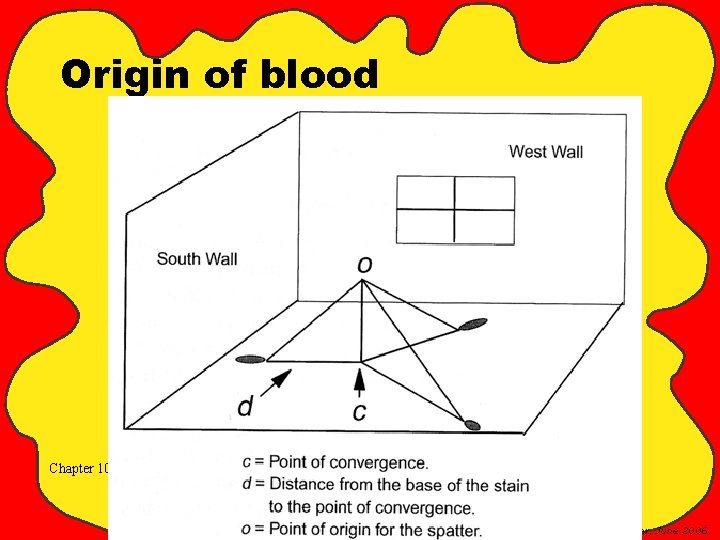 Origin of blood Chapter 10 Image used with permission from Tom Bevel & Ross