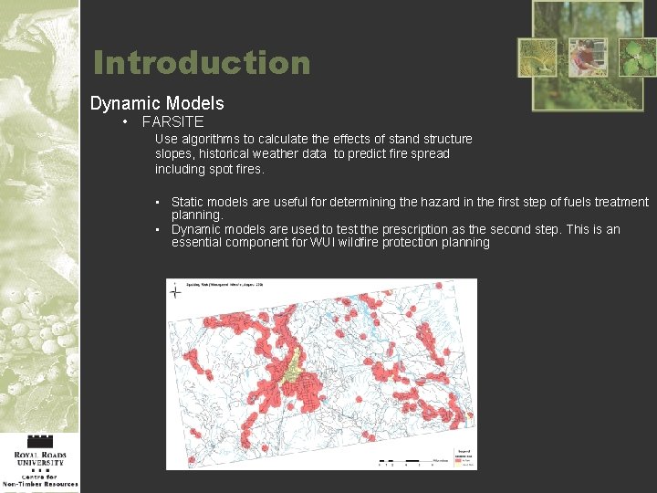 Introduction Dynamic Models • FARSITE Use algorithms to calculate the effects of stand structure