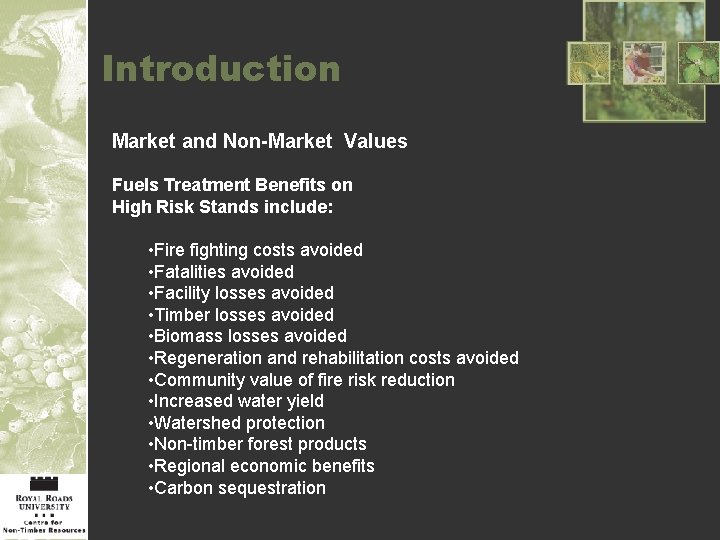 Introduction Market and Non-Market Values Fuels Treatment Benefits on High Risk Stands include: •