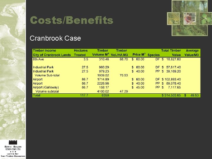 Costs/Benefits Cranbrook Case 