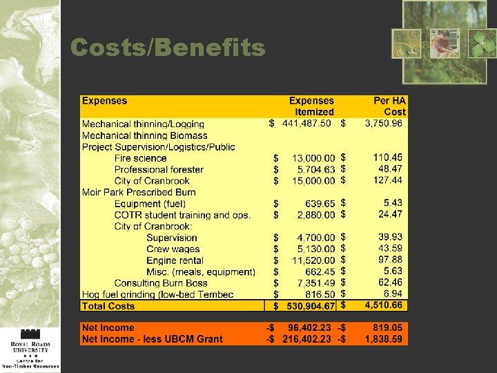 Costs/Benefits 