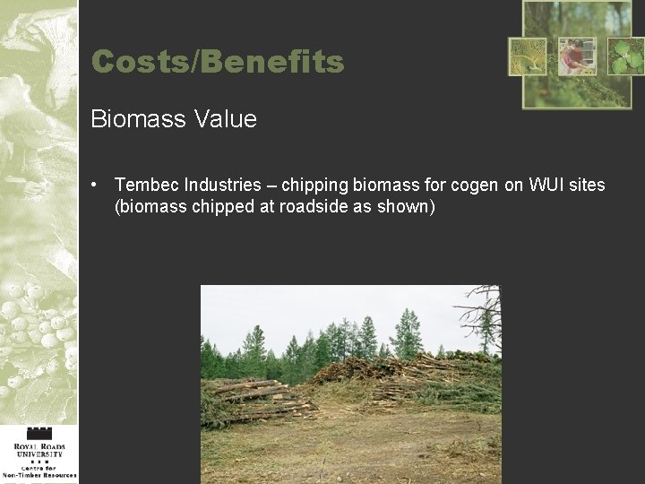 Costs/Benefits Biomass Value • Tembec Industries – chipping biomass for cogen on WUI sites