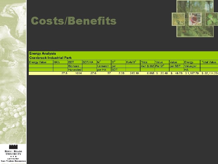 Costs/Benefits 