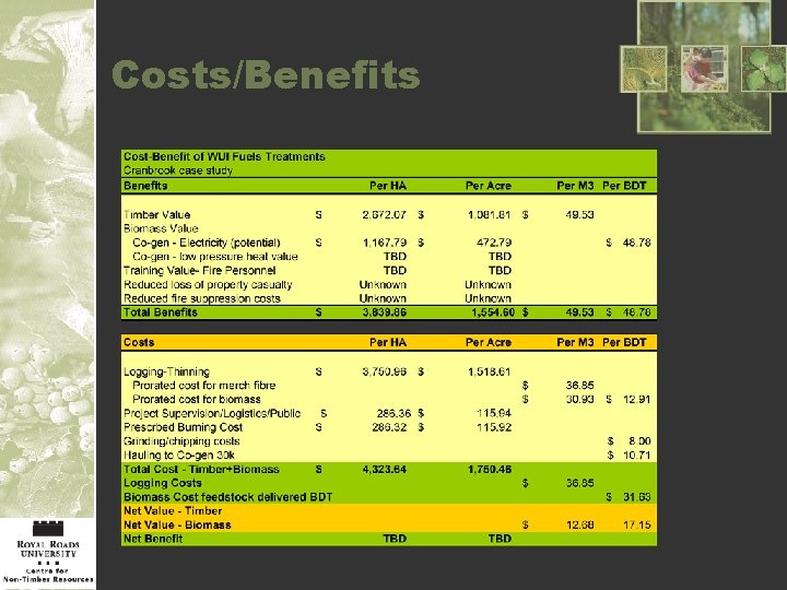 Costs/Benefits 