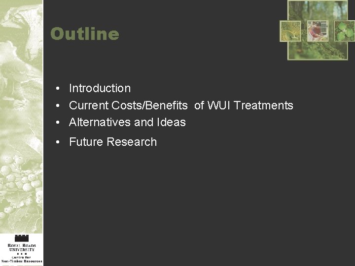 Outline • Introduction • Current Costs/Benefits of WUI Treatments • Alternatives and Ideas •