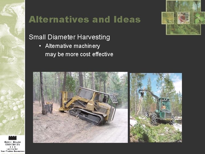 Alternatives and Ideas Small Diameter Harvesting • Alternative machinery may be more cost effective