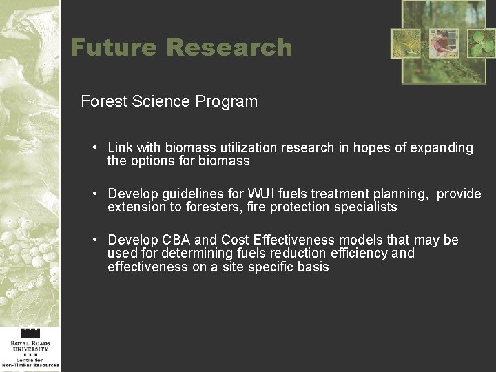 Future Research Forest Science Program • Link with biomass utilization research in hopes of