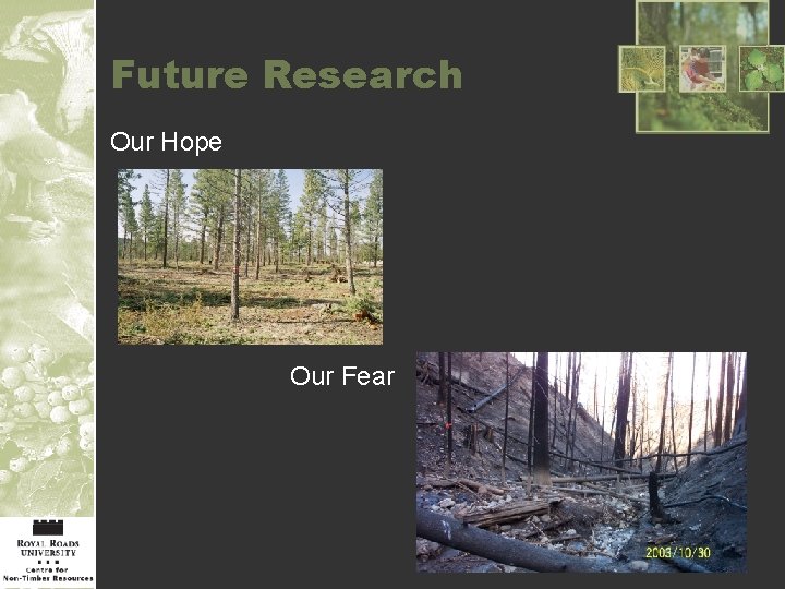 Future Research Our Hope Our Fear 