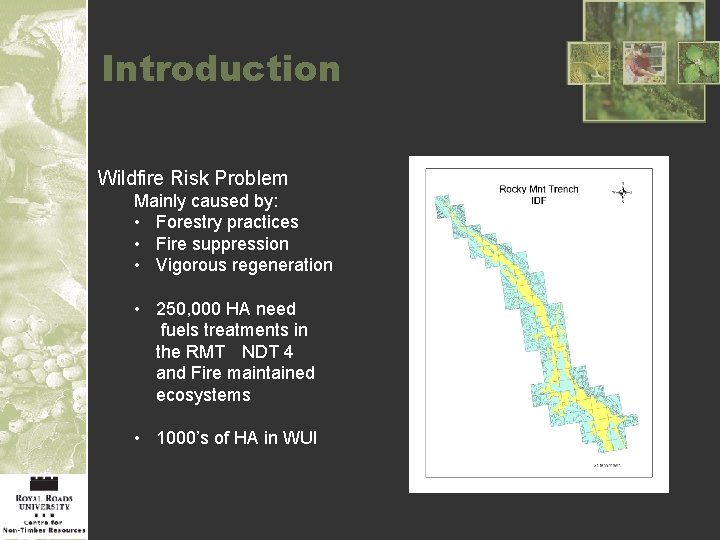 Introduction Wildfire Risk Problem Mainly caused by: • Forestry practices • Fire suppression •