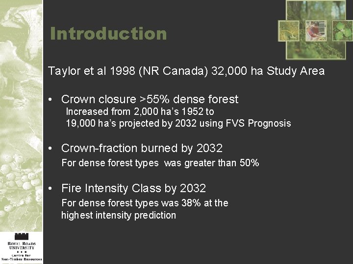 Introduction Taylor et al 1998 (NR Canada) 32, 000 ha Study Area • Crown