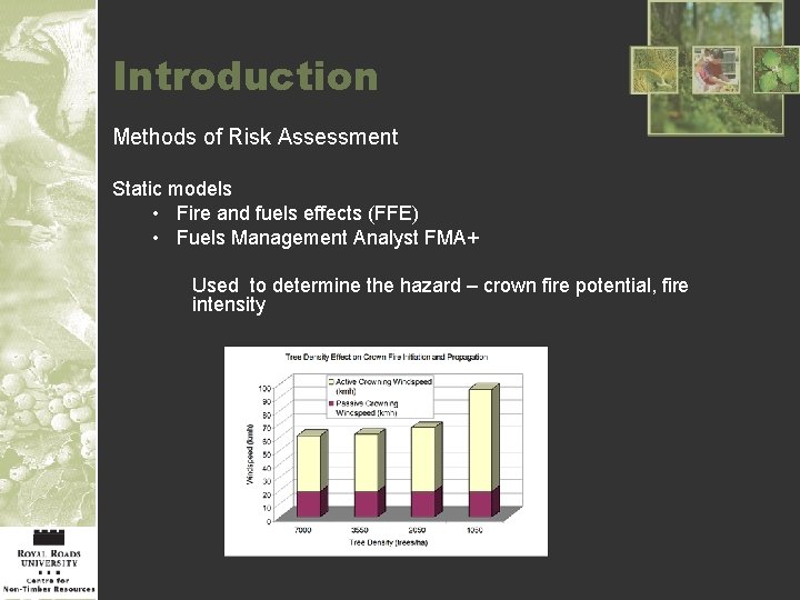 Introduction Methods of Risk Assessment Static models • Fire and fuels effects (FFE) •