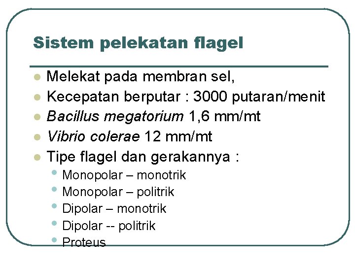 Sistem pelekatan flagel l l Melekat pada membran sel, Kecepatan berputar : 3000 putaran/menit