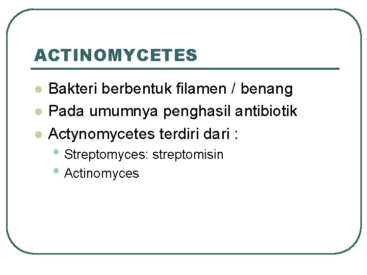 ACTINOMYCETES l l l Bakteri berbentuk filamen / benang Pada umumnya penghasil antibiotik Actynomycetes