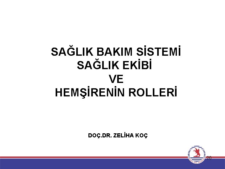 SAĞLIK BAKIM SİSTEMİ SAĞLIK EKİBİ VE HEMŞİRENİN ROLLERİ DOÇ. DR. ZELİHA KOÇ 20 