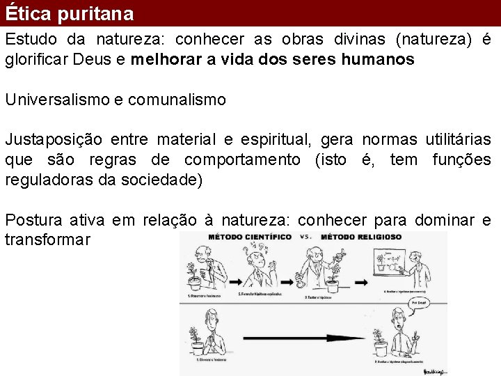 Ética puritana Estudo da natureza: conhecer as obras divinas (natureza) é glorificar Deus e