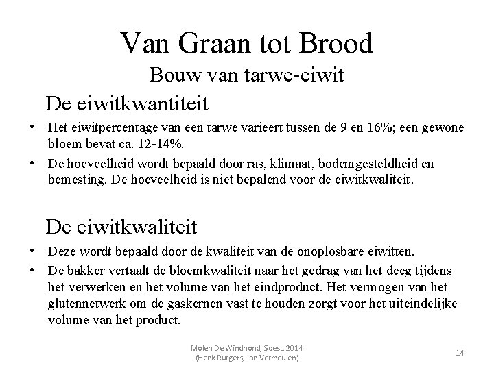 Van Graan tot Brood Bouw van tarwe-eiwit De eiwitkwantiteit • Het eiwitpercentage van een