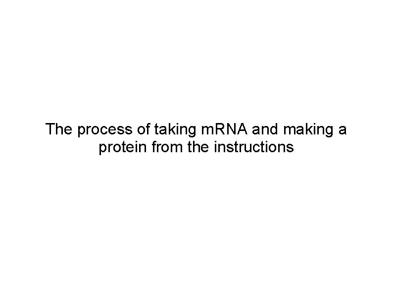 The process of taking m. RNA and making a protein from the instructions 