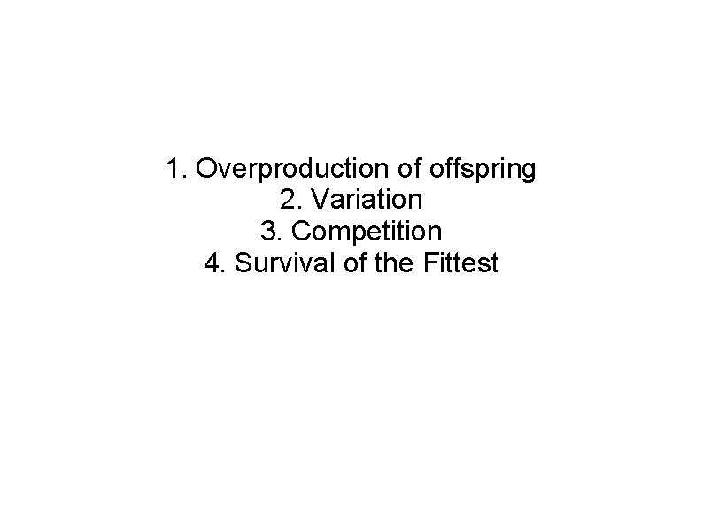 1. Overproduction of offspring 2. Variation 3. Competition 4. Survival of the Fittest 
