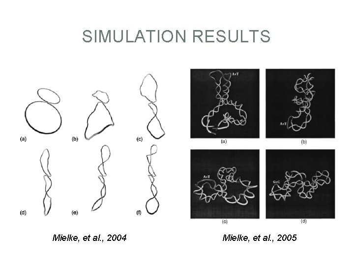 SIMULATION RESULTS • … • … Mielke, et al. , 2004 Mielke, et al.