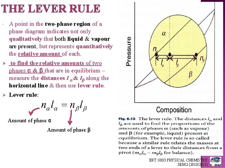 THE LEVER RULE A point in the two-phase region of a phase diagram indicates