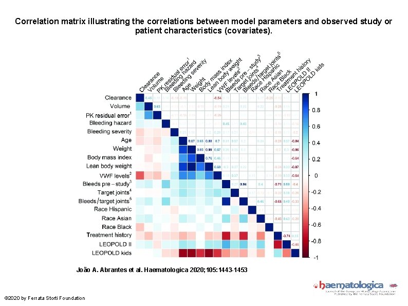 Correlation matrix illustrating the correlations between model parameters and observed study or patient characteristics