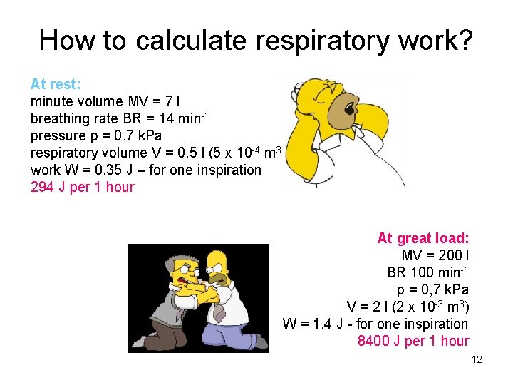 How to calculate respiratory work? At rest: minute volume MV = 7 l breathing How to calculate respiratory work? At rest: minute volume MV = 7 l breathing