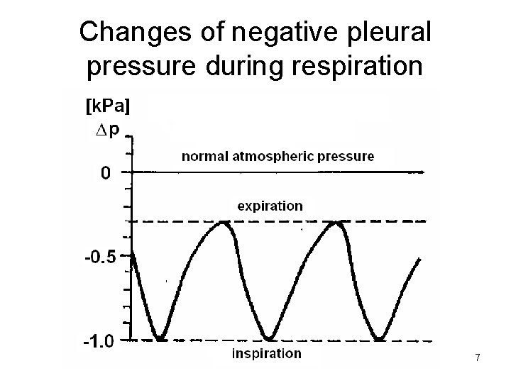 Changes of negative pleural pressure during respiration 7 Changes of negative pleural pressure during respiration 7