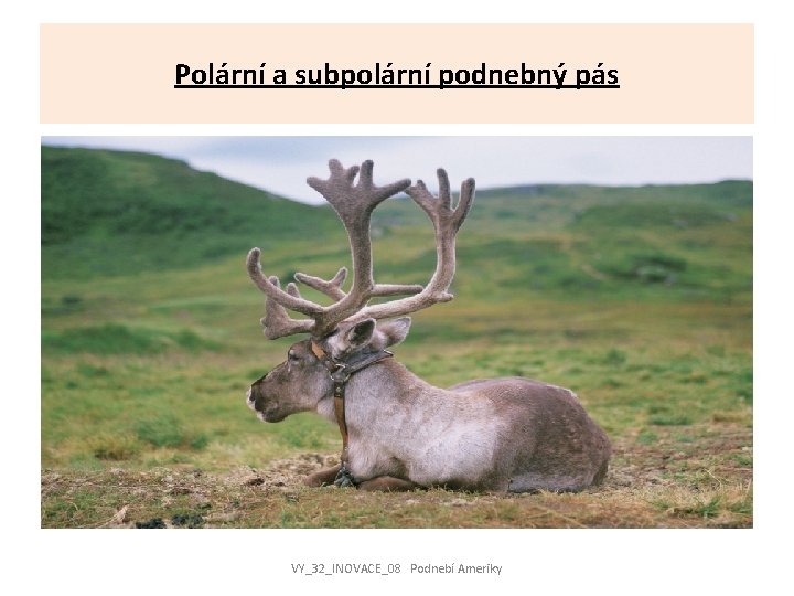 Polární a subpolární podnebný pás VY_32_INOVACE_08 Podnebí Ameriky 