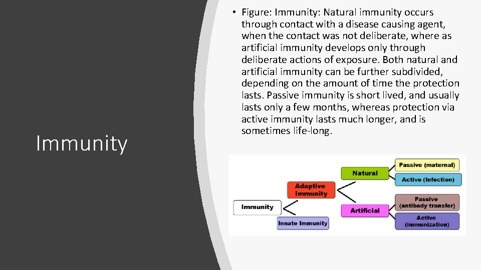 Immunity • Figure: Immunity: Natural immunity occurs through contact with a disease causing agent,