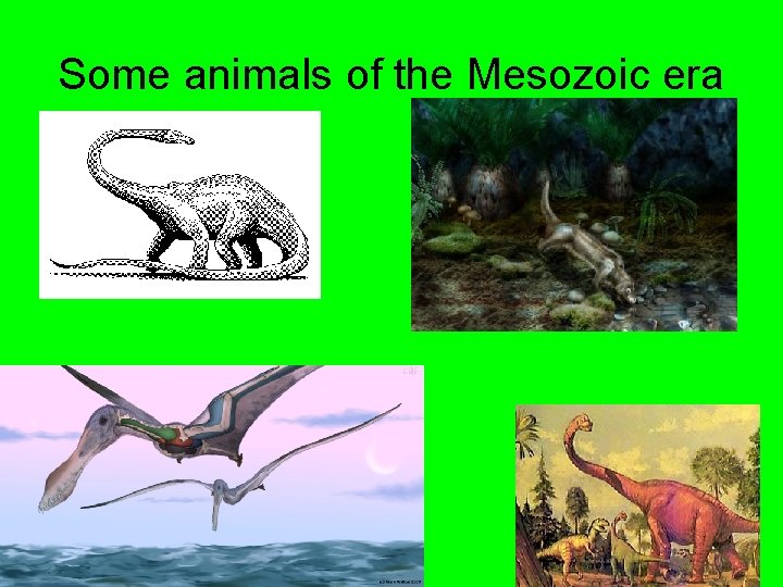 Some animals of the Mesozoic era 