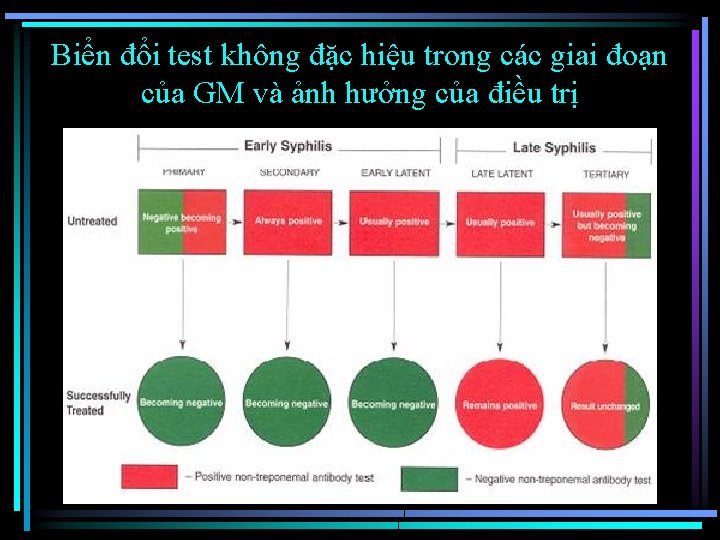 Biển đổi test không đặc hiệu trong các giai đoạn của GM và ảnh