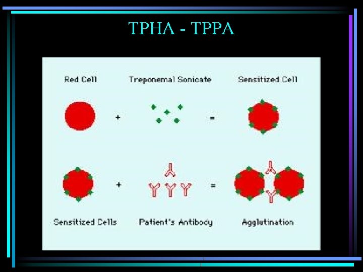 TPHA - TPPA 