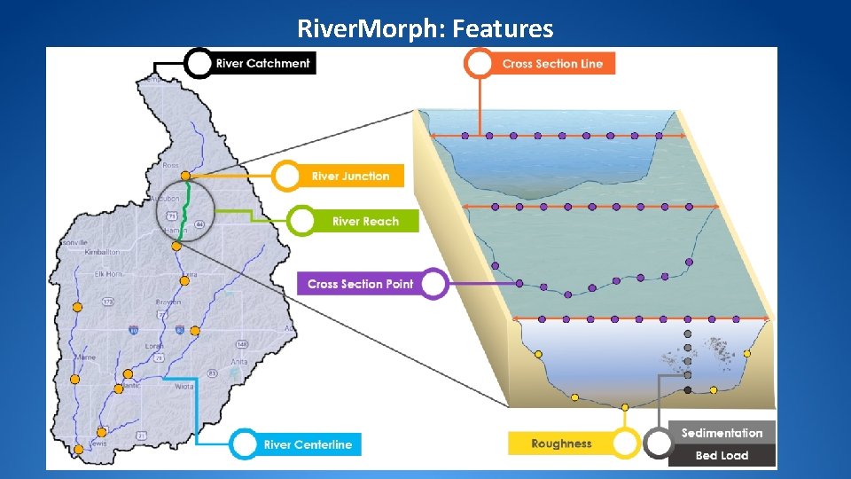 River. Morph: Features River. Morph: Features