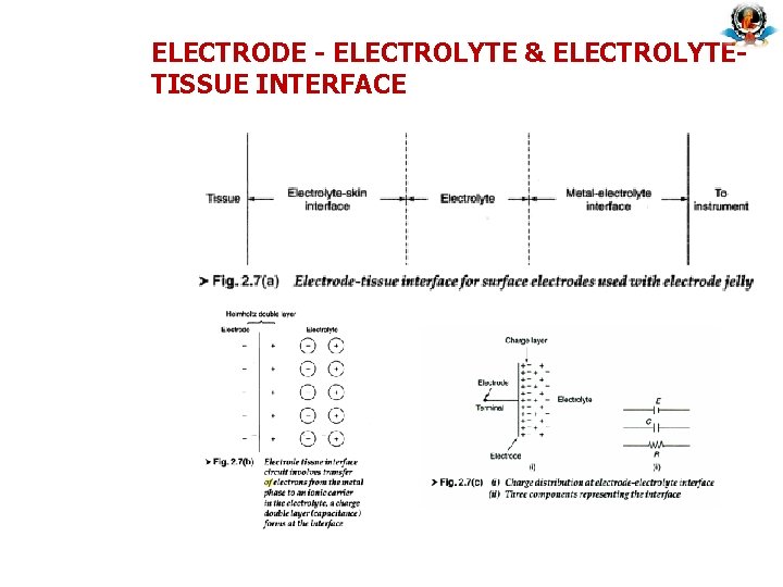 ELECTRODE - ELECTROLYTE & ELECTROLYTETISSUE INTERFACE 