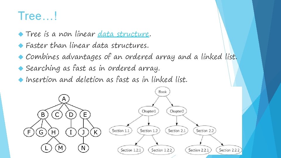 Presentation Topic Trees Presentation Date 27 FEBURARY 2017