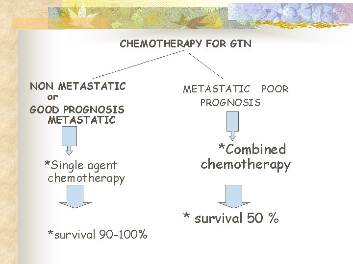 CHEMOTHERAPY FOR GTN NON METASTATIC or GOOD PROGNOSIS METASTATIC *Single agent chemotherapy *survival 90