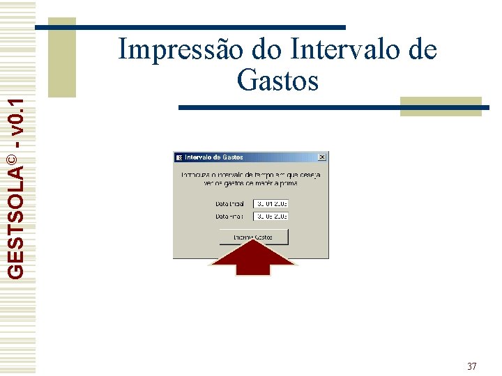 GESTSOLA© - v 0. 1 Impressão do Intervalo de Gastos 37 