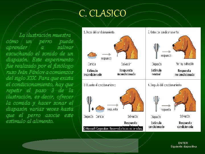 C. CLASICO La ilustración muestra cómo un perro puede aprender a salivar escuchando el