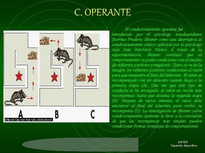 C. OPERANTE El condicionamiento operante fue introducido por el psicólogo estadounidense Burrhus Frederic Skinner