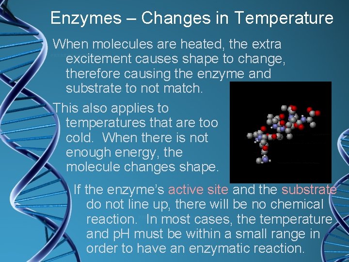 Enzymes – Changes in Temperature When molecules are heated, the extra excitement causes shape