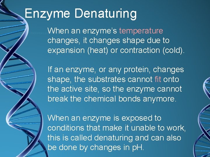 Enzyme Denaturing When an enzyme’s temperature changes, it changes shape due to expansion (heat)