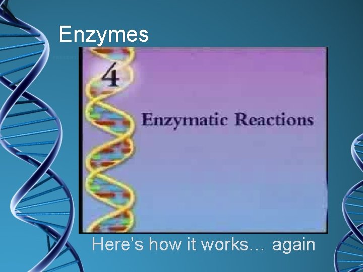 Enzymes Here’s how it works… again 