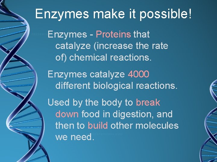Enzymes make it possible! Enzymes - Proteins that catalyze (increase the rate of) chemical