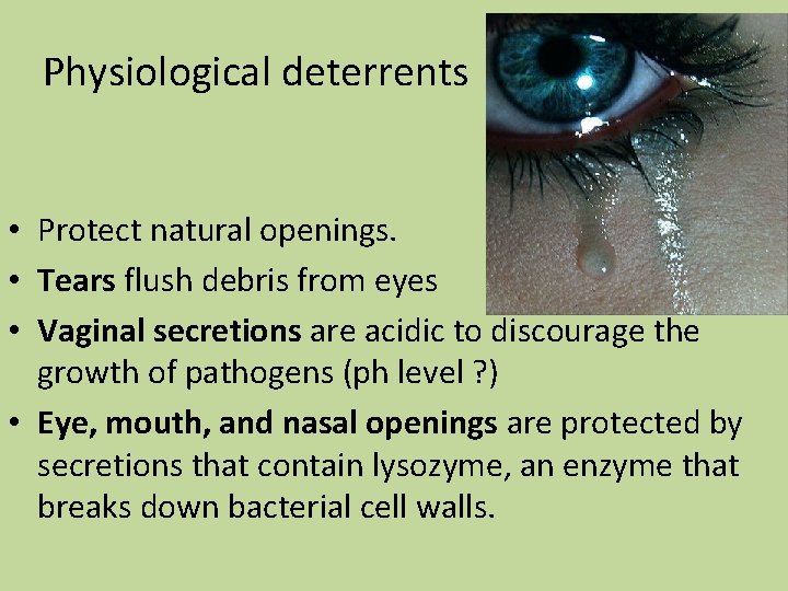 Physiological deterrents • Protect natural openings. • Tears flush debris from eyes • Vaginal