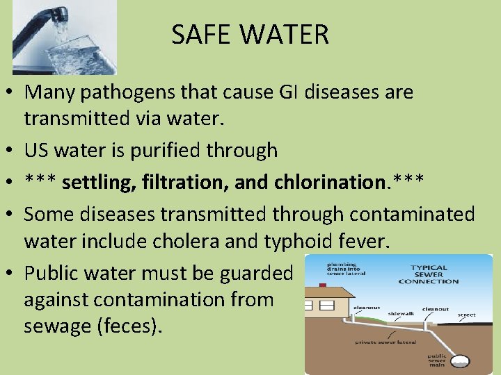 SAFE WATER • Many pathogens that cause GI diseases are transmitted via water. •