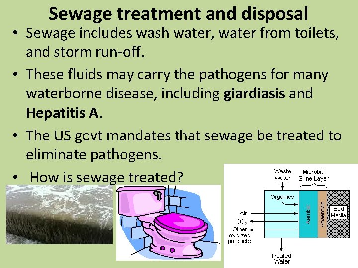 Sewage treatment and disposal • Sewage includes wash water, water from toilets, and storm