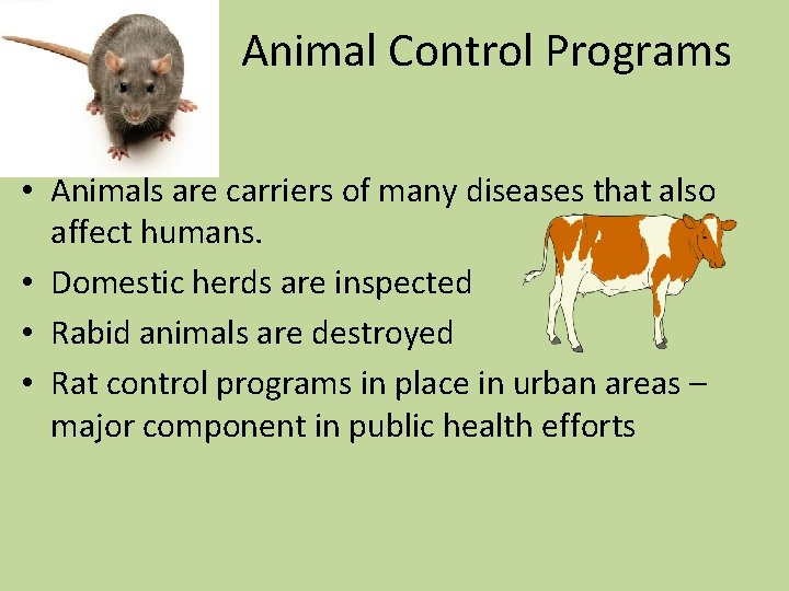 Animal Control Programs • Animals are carriers of many diseases that also affect humans.