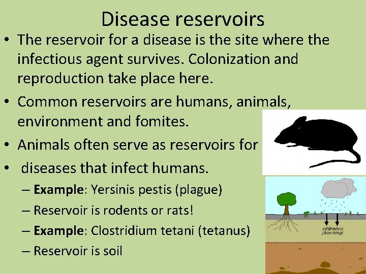 Disease reservoirs • The reservoir for a disease is the site where the infectious