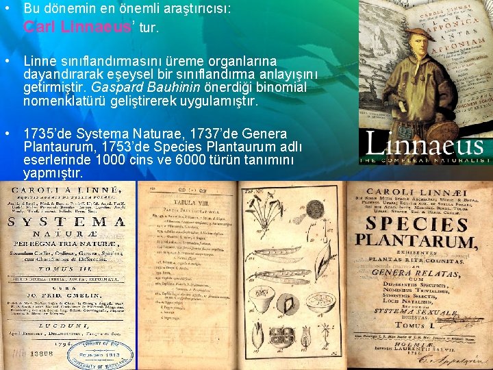  • Bu dönemin en önemli araştırıcısı: Carl Linnaeus’ tur. • Linne sınıflandırmasını üreme