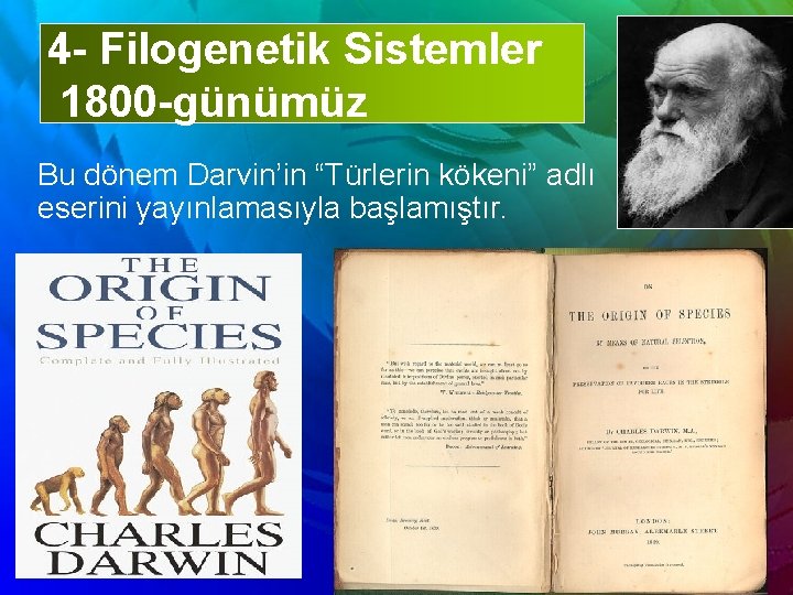 4 - Filogenetik Sistemler 1800 -günümüz Bu dönem Darvin’in “Türlerin kökeni” adlı eserini yayınlamasıyla